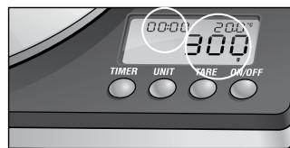 RIVIERA ET BAR HN 300A METAL - arrêt automatique de la balance - 2