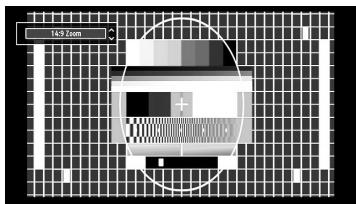 PROLINE LD 2263 D/MPEG2 - Zoom 14:9 - 1
