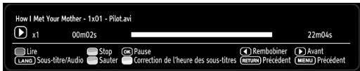 PROLINE LD 2263 D/MPEG2 - Affichage de video via USB - 2