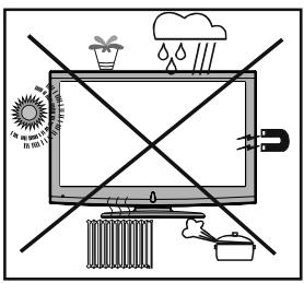 PROLINE LD 2263 D/MPEG2 - Branchement à un système de distribution de télévision (television par cable, etc.) à partir d'un tuner - 1