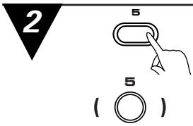PIONEER PD-F1009 - Ecoute programmée limitée à une sélection de disques (Lecture d'une sélection de disques) - 2