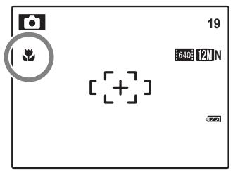 FUJIFILM Z 70 - Choix d'une valeur de compensation de l'exposition - 4