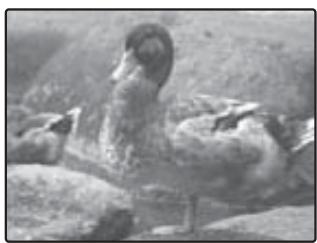 FUJIFILM Z 70 - Choisissez une valeur. - 2