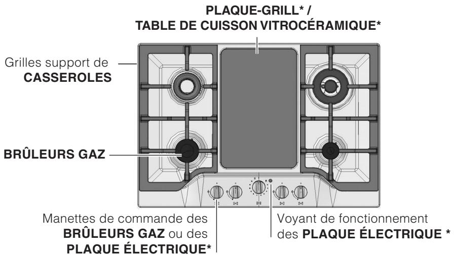 SCHOLTES TG 631 EWH BLANC - Vue d'ensemble - 2