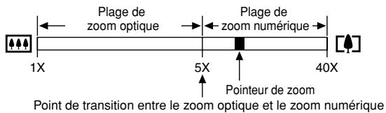 CASIO PRO EX-P505 - ■ Prendre une photo avec le zoom numérique - 2