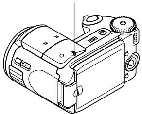 CASIO PRO EX-P505 - Description des témoins - 1
