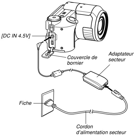 CASIO PRO EX-P505 - Assurez-vous que la batterie de l'appareil photo est suffisamment chargée. - 1