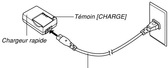 CASIO PRO EX-P505 - Branchez le chargeur rapide sur une prise secteur. - 1