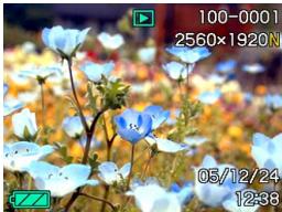 CASIO PRO EX-P505 - Mode PLAY (lecture) - 1