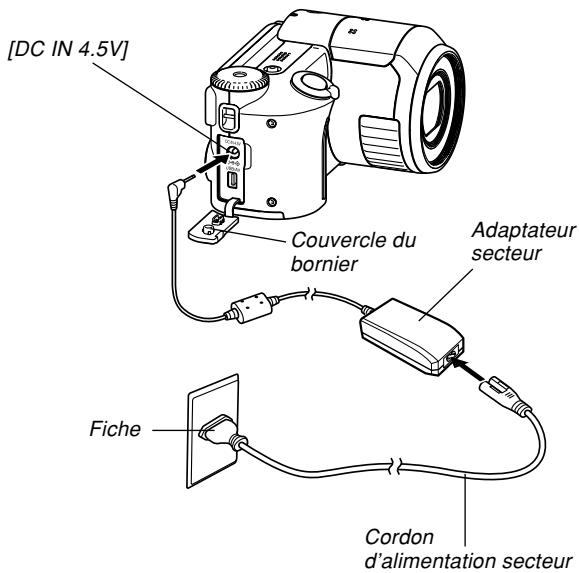 CASIO PRO EX-P505 - Assurez-vous que la batterie de l'appareil photo est suffisamment chargée. - 1