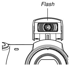 CASIO PRO EX-P505 - IMPORTANT！ - 1