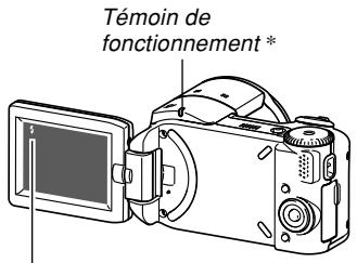 CASIO PRO EX-P505 - Etat du flash - 1