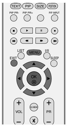 LG-GOLDSTAR 42PC3RA - MÉMORISATION DES CHÂINES - 1