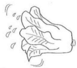 BRANDT BFD672MNX - STOCKAGE DES ALIMENTS FRAIS - 3