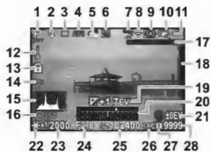 PENTAX Klcopic - Ecran de contrôle LCD - 3