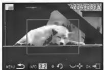 PENTAX Klcopic - Recadrer une partie de l'image (Recadrer) - 1