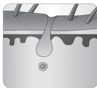 BABYLISS G933E - Cycle de croissance du poil - 7