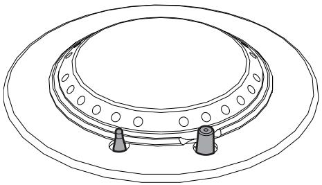 SMEG PV175B-1 - Bougies et thermocouples - 1
