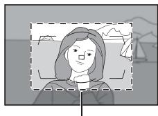 NIKON D3X - Affichage du viseur - 1