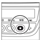 NIKON D3X - ■ Balance des blancs - 5