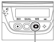 NIKON D3X - Selection d'un blanc mesure : la commande WB - 1