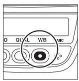 NIKON D3X - ■ Balance des blancs - 1