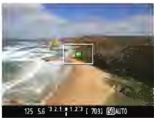 CANON EOS 4000D+18-55iiic - Effectuez la mise au point sur le sujet. - 1
