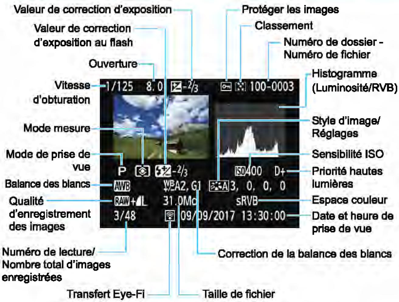 CANON EOS 4000D+18-55iiic - Exemple de photo prise dans un mode de la zone de création - 1