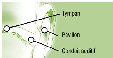 TERRAILLON MULTITHERMO 50 VERT - Auriculaire - 2