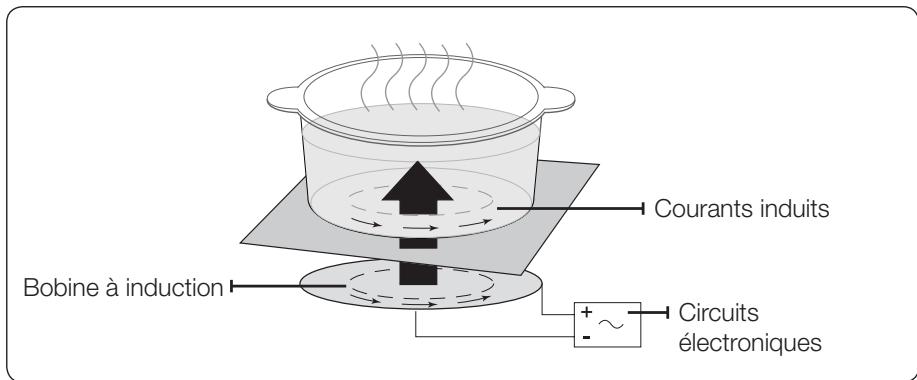 SAMSUNG CTN364N006 - Chauffage par induction - 1