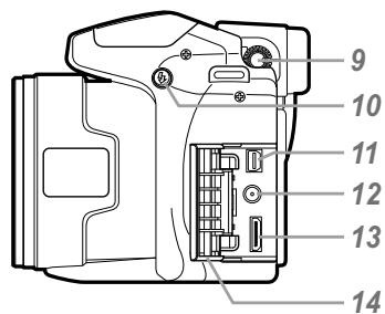 FUJIFILM SP-590UZ - Apparel photo - 3
