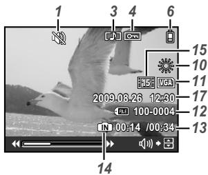 FUJIFILM SP-590UZ - Apparel photo - 10