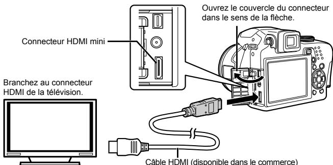 FUJIFILM SP-590UZ - Pour afficher les photos de l'appareil photo sur un téléviseur - 2