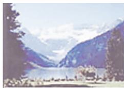 CANON MG2555C - Surexposition (courbe convexe) - 2