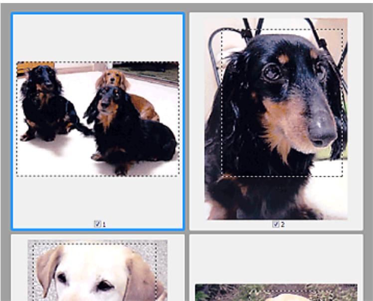 CANON MG2555C - Vue en miniature - 1