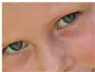 CANON MG2555C - Suppressor de défaut - 3