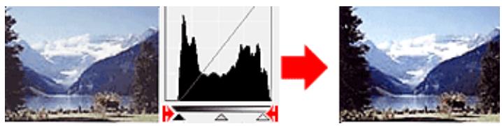 CANON MG2555C - Images avec des données largement distribuées - 1