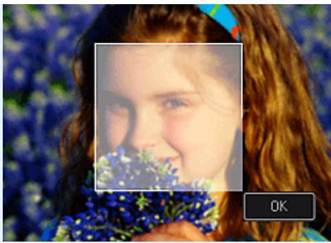 CANON MG2555C - Remarque - 1