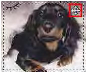 CANON MG2555C - Ajustement d'un cadre de découpe - 3