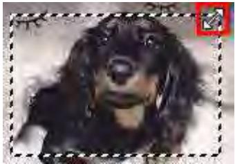 CANON MG2555C - Ajustement d'un cadre de découpe - 1