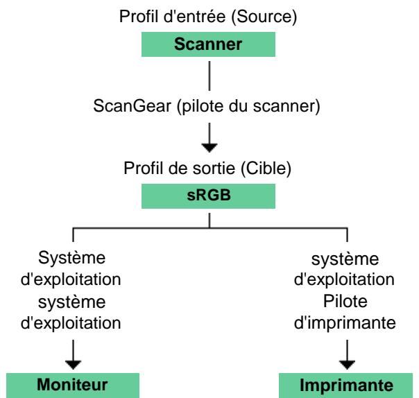 CANON MG2555C - Correspondance des couleurs - 1