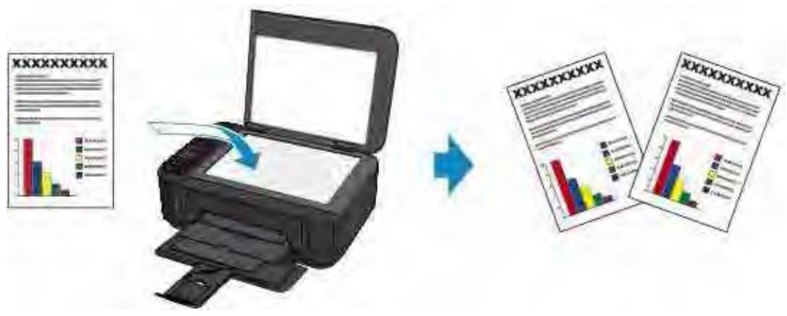 CANON MG2555C - Copie de documents - 1