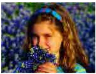 CANON MG2555C - Affineur de visage - 1