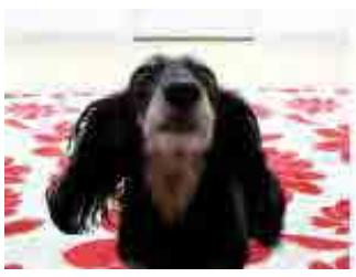 CANON MG2555C - Amélioration avec effet très grand angle - 1