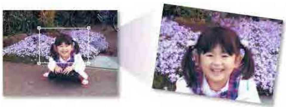 CANON MG2555C - Découpage des images numériées - 1