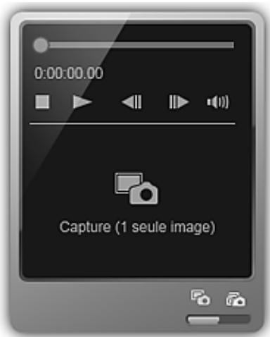 CANON MG2555C - Volet de capture d-image fixe - 1