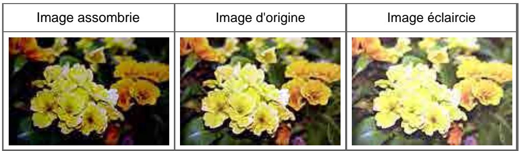 CANON MG2555C - Luminosité - 2