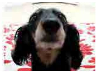 CANON MG2555C - Amélioration avec effet très grand angle - 3