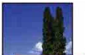 CANON MG2555C - Aucun résultat d'impression/L'impression est floue/Les couleurs ne sont pas fidèles/Traces blanches - 2