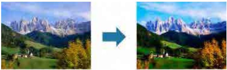 CANON MG2555C - Effet miniature - 1